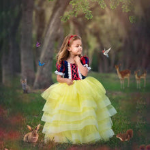 Load image into Gallery viewer, Princess Snow White Costume Generic Dress Up with Accessories for Girls Party