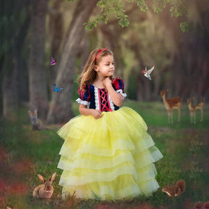 Princess Snow White Costume Generic Dress Up with Accessories for Girls Party