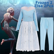 Load image into Gallery viewer, Kids Frozen Costume Princess Elsa Cosplay Birthday or Party Dress With Accessories
