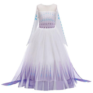 Kids Frozen Costume Princess Elsa Anna Cosplay Birthday or Party Dress With Accessories