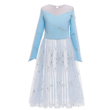 Load image into Gallery viewer, Kids Frozen Costume Princess Elsa Cosplay Birthday or Party Dress With Accessories