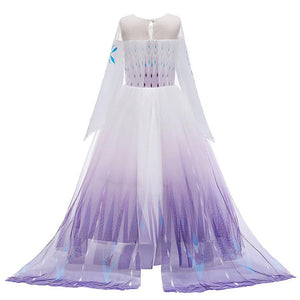 Kids Frozen Costume Princess Elsa Anna Cosplay Birthday or Party Dress With Accessories
