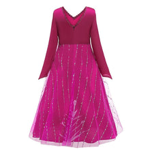 Load image into Gallery viewer, Kids Frozen Costume Princess Elsa Cosplay Birthday or Party Dress With Accessories