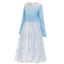 Load image into Gallery viewer, Kids Frozen Costume Princess Elsa Cosplay Birthday or Party Dress With Accessories