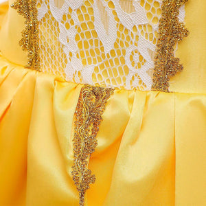 Kid's Beauty and the Beast Princess Belle Costumes Chiffon Dress With Accessories For Girls