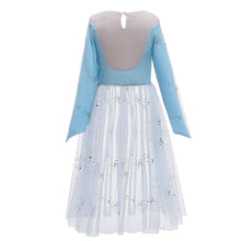 Load image into Gallery viewer, Kids Frozen Costume Princess Elsa Cosplay Birthday or Party Dress With Accessories
