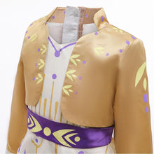 Load image into Gallery viewer, Kids Frozen Costume Princess Anna Cosplay Birthday or Party Dress With Accessories