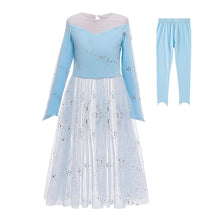 Load image into Gallery viewer, Kids Frozen Costume Princess Elsa Cosplay Birthday or Party Dress With Accessories