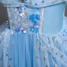 Load image into Gallery viewer, Girls Costume Princess Elsa Cosplay Dress Birthday Party Dress With Accessories